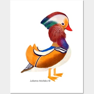 Mandarin Duck realistic illustration Posters and Art